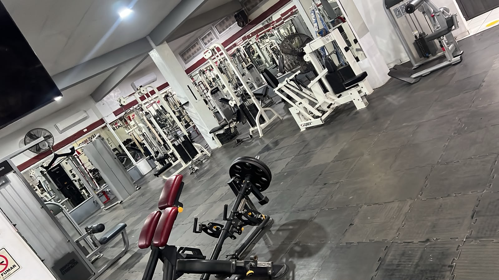 Área de entrenamiento de espalda